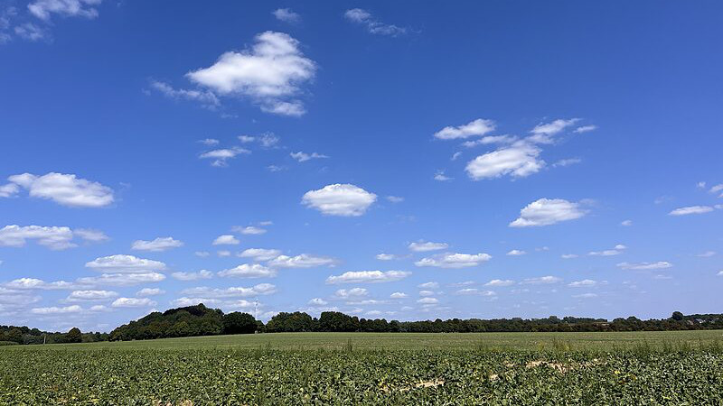 Logopédie - accompagnement enfants et adultes