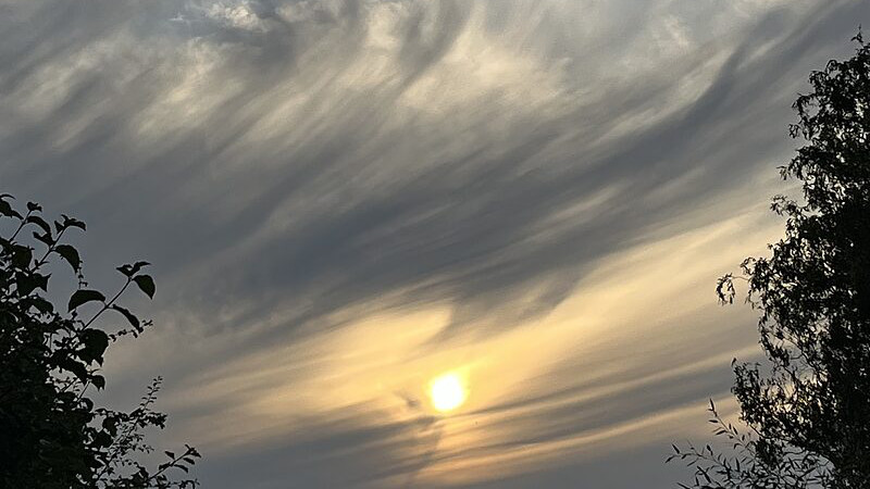 Thérapie des réflexes archaïques